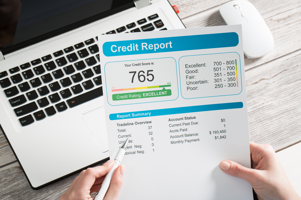 what your credit report includes